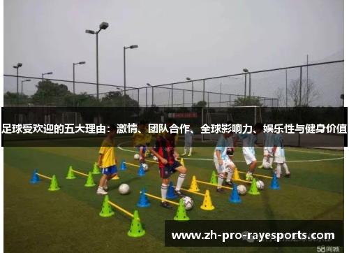 足球受欢迎的五大理由:激情、团队合作、全球影响力、娱乐性与健身价值 足球受欢迎的五大理由:激情、团队合作、全球影响力、娱乐性与健身价值