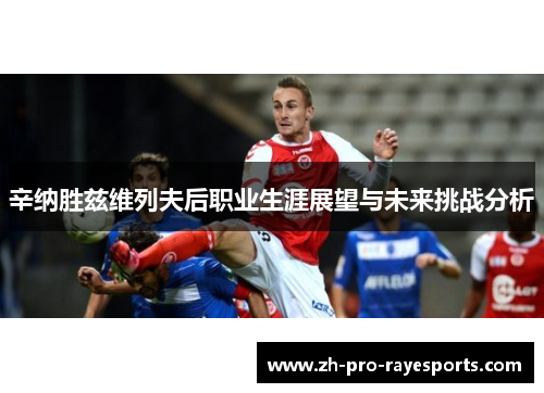 辛纳胜兹维列夫后职业生涯展望与未来挑战分析 辛纳胜兹维列夫后职业生涯展望与未来挑战分析